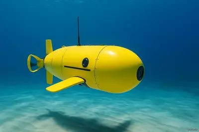 стражи глубин