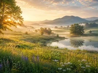 Природа та ландшафти - Тиха сцена Тихий ранковий пейзаж із квітучою галявиною, деревами, туманною