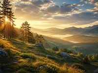 Світло сонця пробивається крізь сосни над туманною гірською долиною