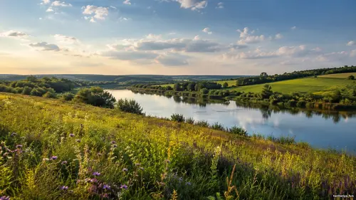 Пейзажі України - Тиха сцена Тихий український пейзаж із квітучим лугом, спокійною річкою, зеленими