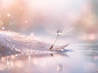 Тендітна насінина кульбаби з краплею роси на світлому пір’ї над гладдю