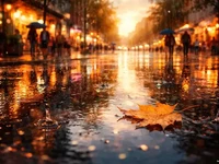 Вечірня міська вулиця після дощу з яскравими віддзеркаленнями у калюжі