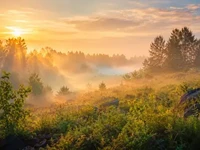 Сонячні промені над туманною долиною на світанку, зелений схил