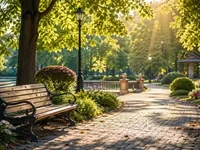 Світлий міський парк із затишною алеєю, дерев’яною лавкою під великим