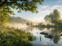 Тиха ранкова сцена біля озера з деревами, квітами, серпанком
