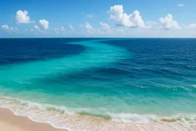 Понимание природы Гольфстрима — это не только научный интерес