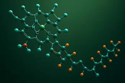 Это великий преобразователь света, хранитель биосферы