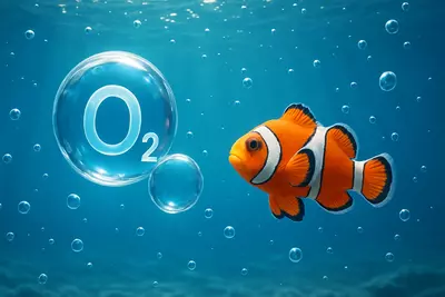 Кислород — это один из фундаментальных кирпичиков жизни