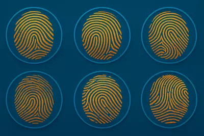 Это биологическая подпись, зашифрованная в нас ещё до рождения