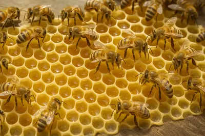 С любовью. С точностью. С тысячами полётов, с миллионами прикосновений